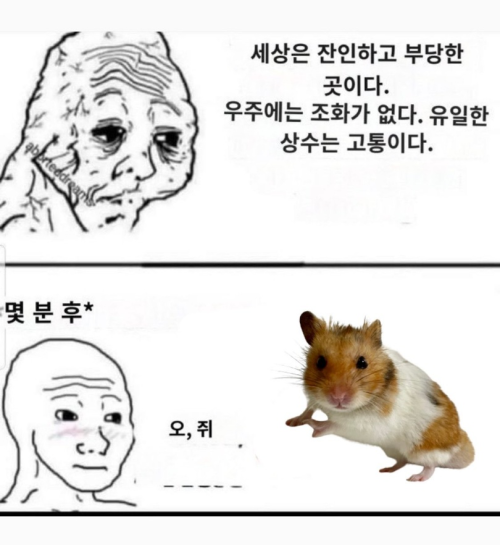 오 쥐 원본.png