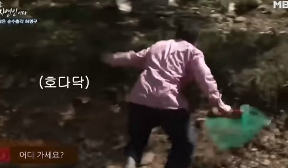 금상투어 이미지