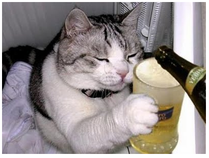 alcohol-and-pets.png